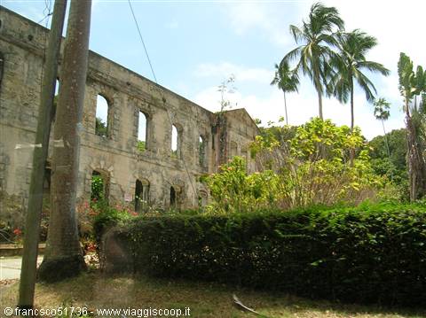 Ruins of a stone colonial building among palm trees and tropical vegetation, sunny light