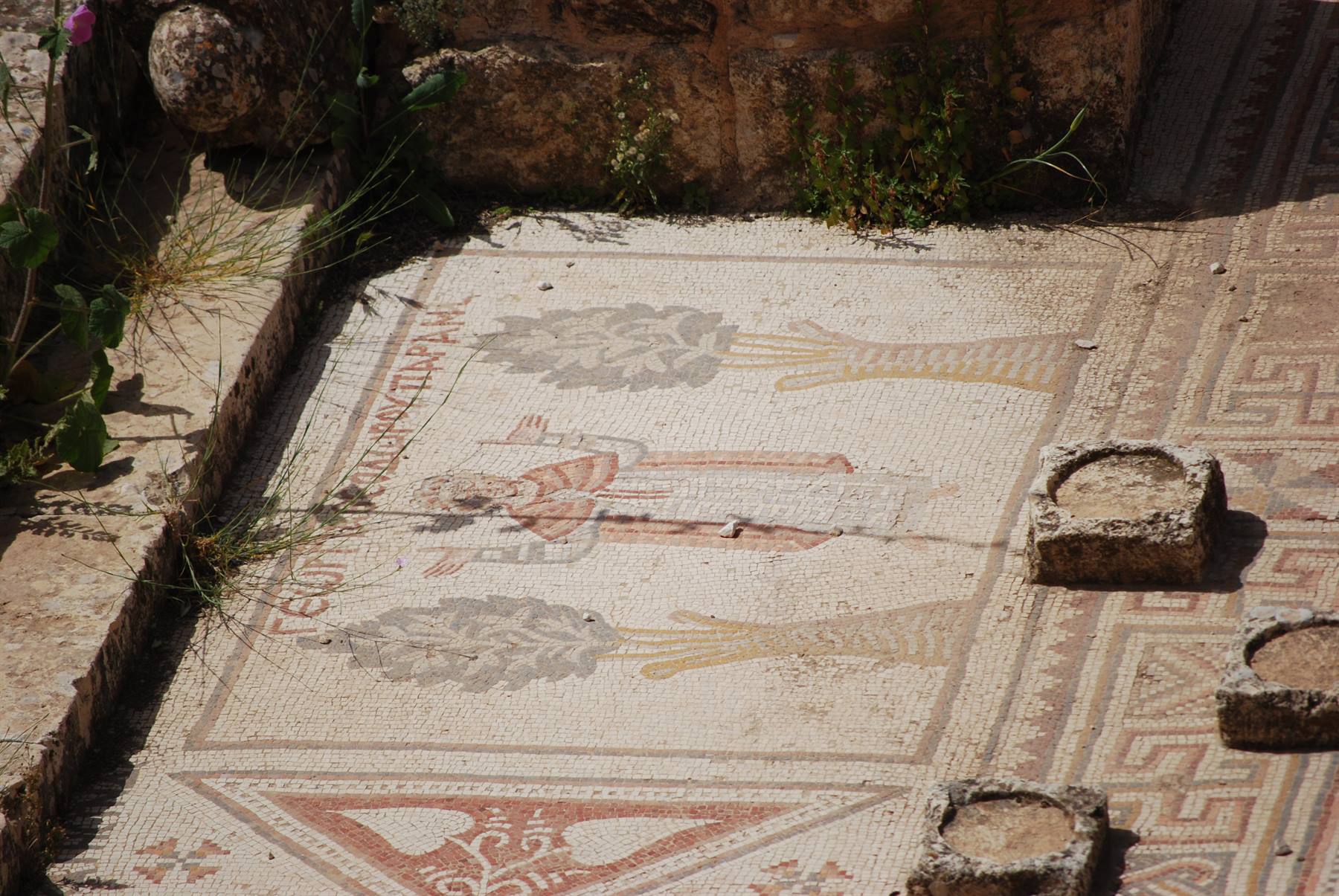 Jordan - Gerasa - Church of Saints Cosmas and Damian - Mosaic