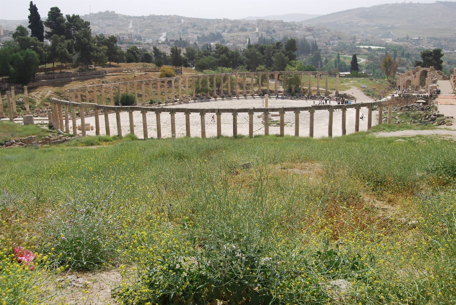 Jordan - Gerasa - Oval plaza