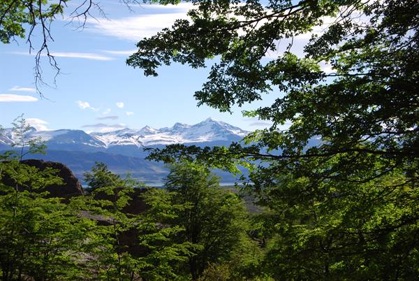 Puerto Natales - Milodon Park - Panorama