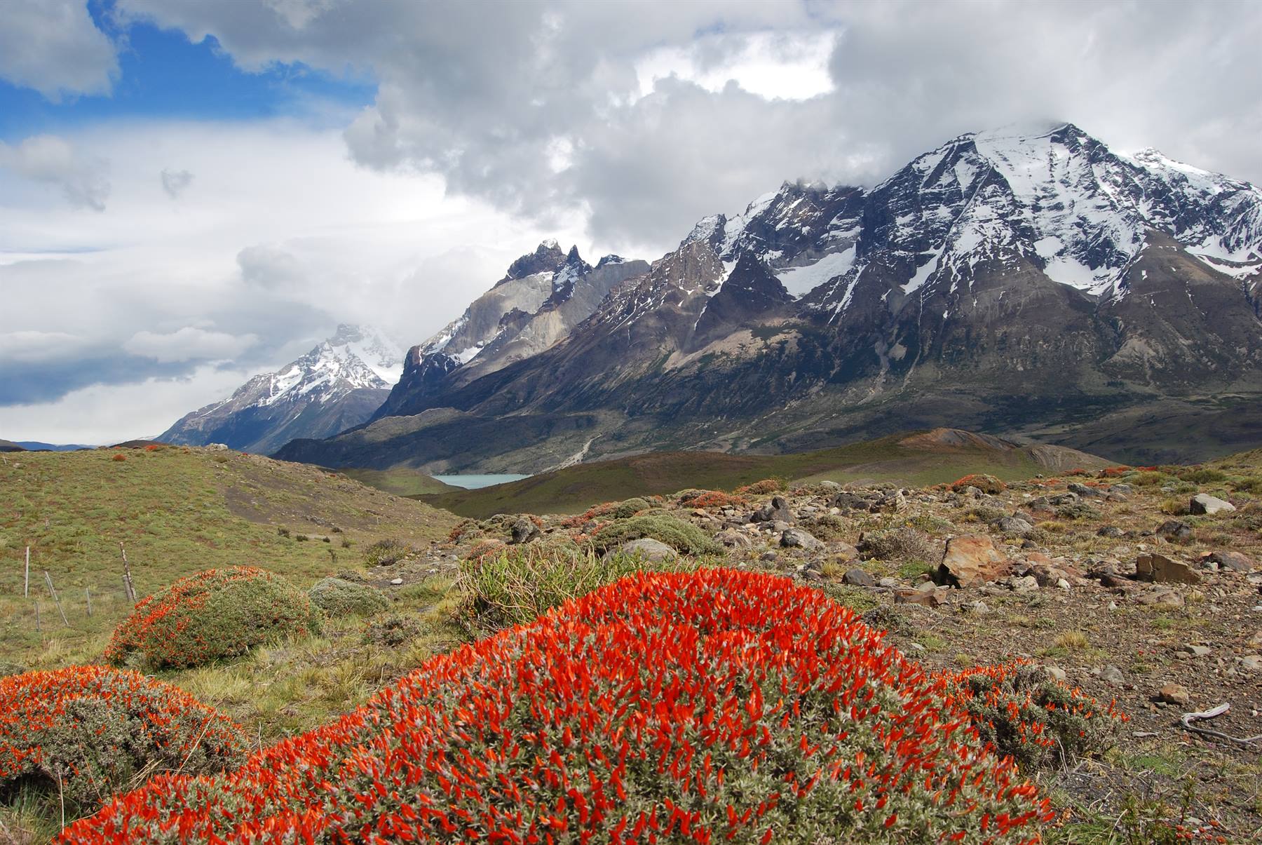 Towers of Paine - Panorama