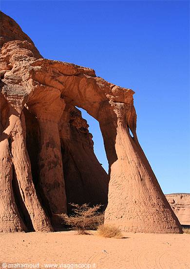 Sandstone rock arch in the desert, golden sand and dry bush