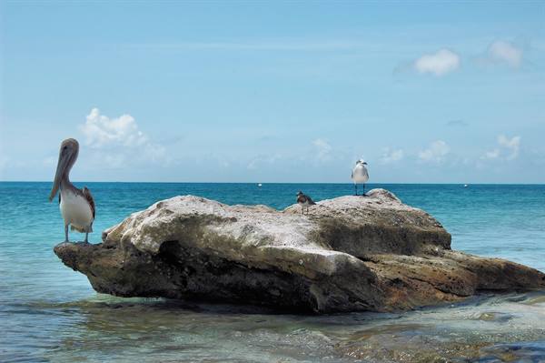 Los Roques