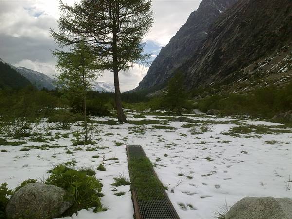 fresh snow in val Ferret