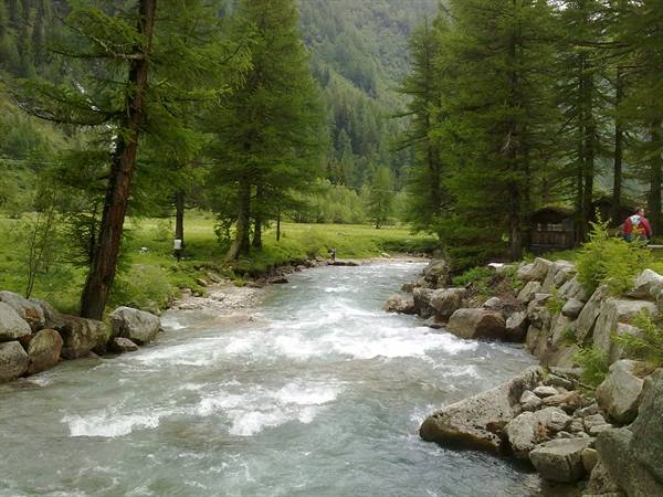 val Ferret