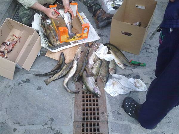 after a day of fishing