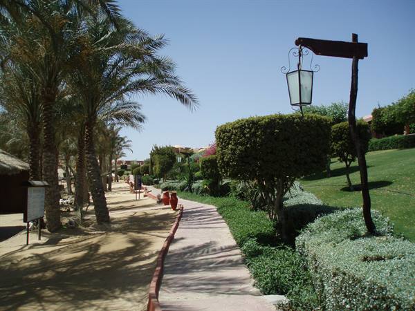 path toward the sea