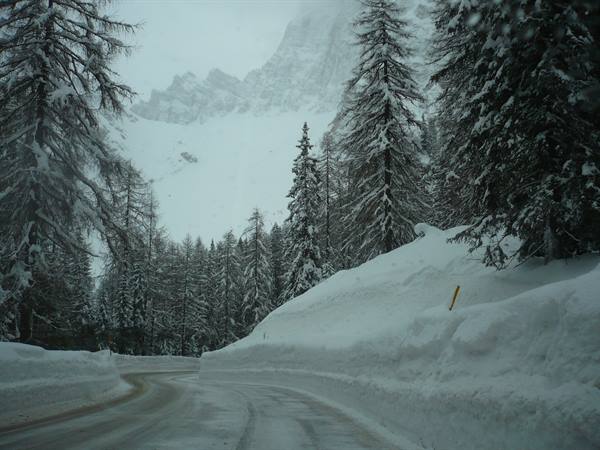 Snowy road winding between snow-covered conifers and foggy mountains