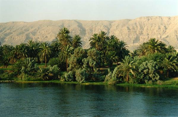 banks of the nile