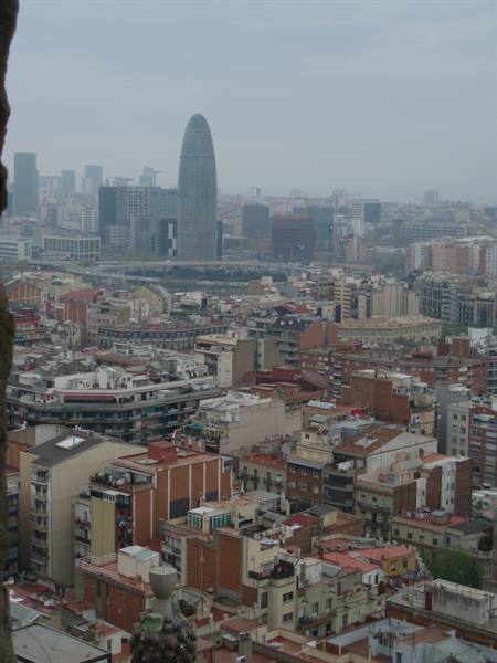 view from the towers