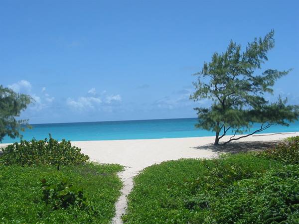 Sandy path through green bushes leading to white beach and turquoise sea