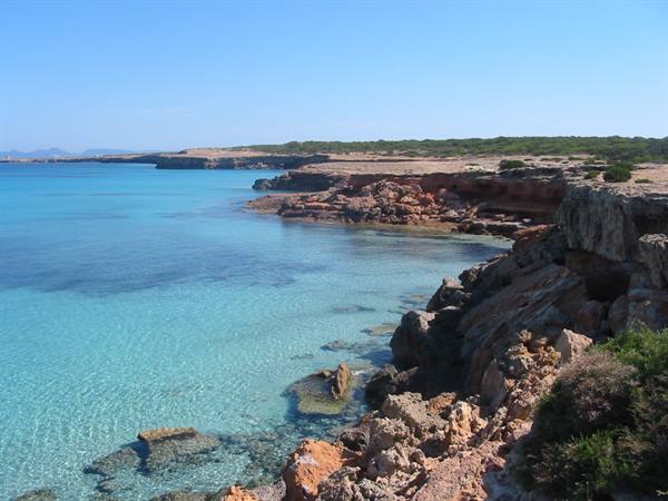 Clear turquoise water over red rocks, green shrubs under blue sky