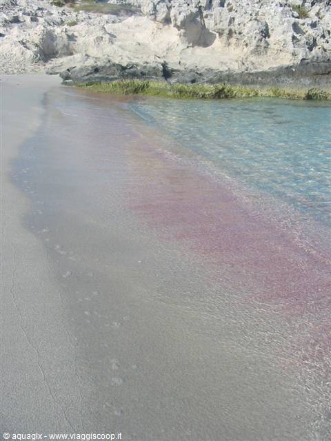 Pink sand under clear shallow water, white limestone rocks along the shore