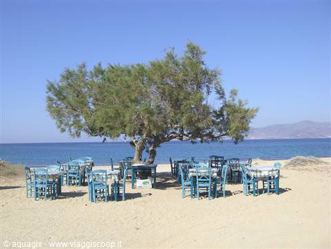 Blue plastic tables and chairs under a tamarisk tree on sandy beach