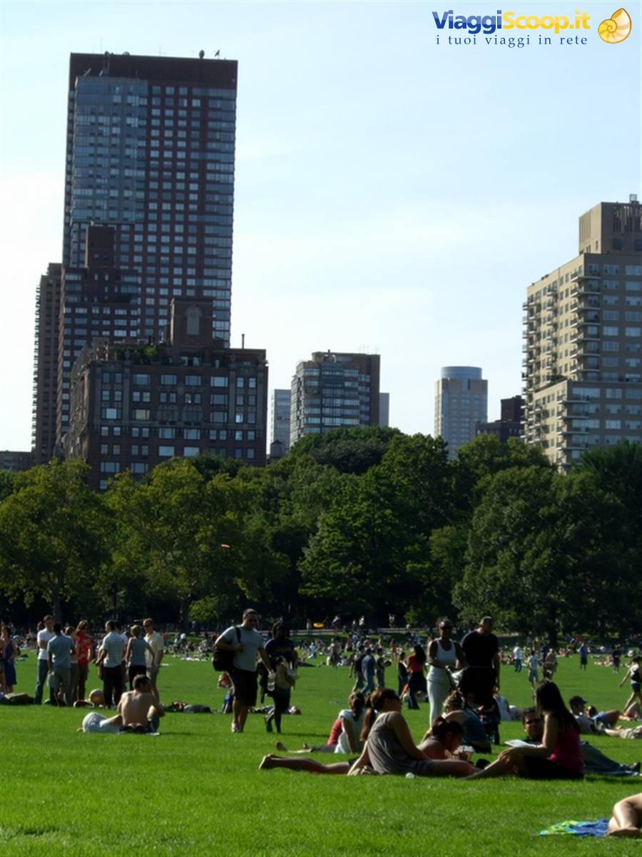 People lounging on the Great Lawn grass in Central Park, skyscrapers behind