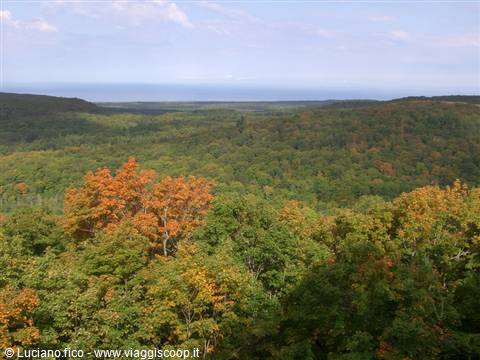 Autumn forest with orange foliage and blue lake on the horizon