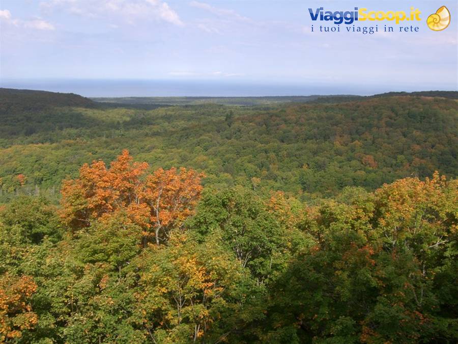 Autumn forest with orange foliage and blue lake on the horizon