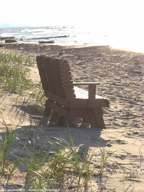 Wooden bench on sand among tall grass, waves and sunlight on the beach