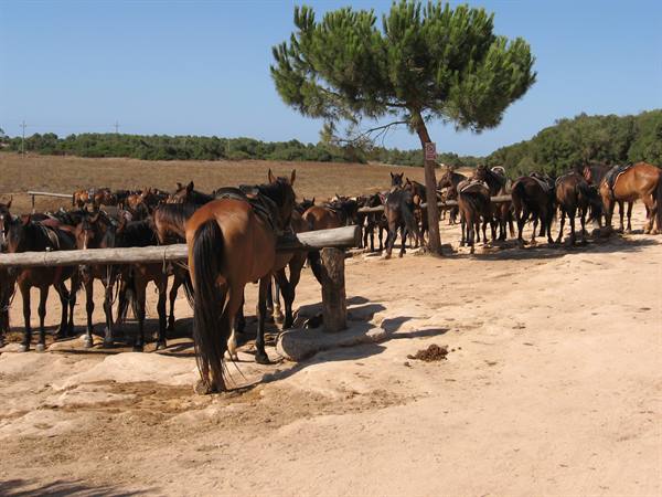 RANCHO GRANDE