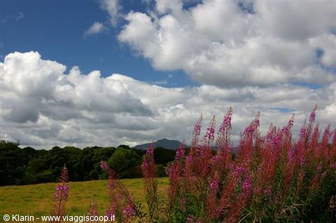 Trossachs