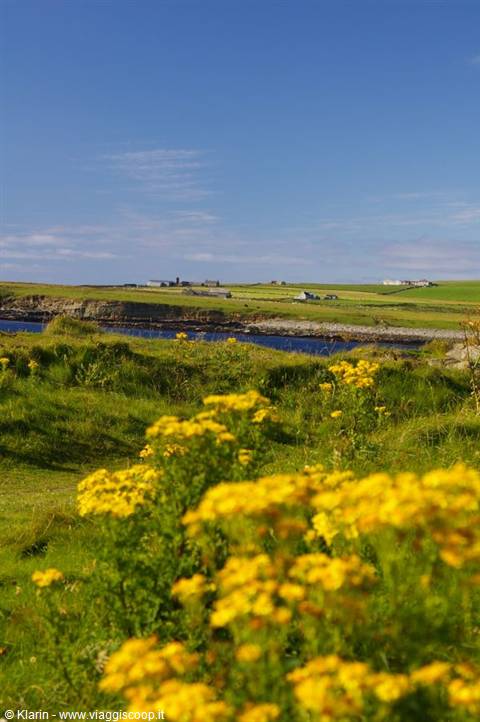 Orkney landscape