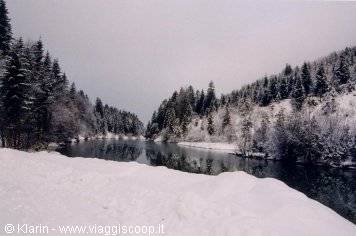 still snow-covered river between white conifers under grey sky