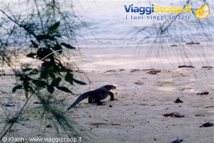 An inhabitant of Sibu...