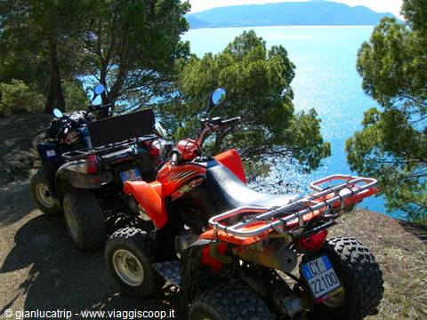 Red and black quad bikes parked among pines above the blue sea