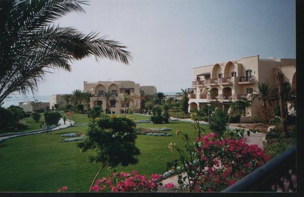 Green garden with palms and pink flowers in front of white arched hotel buildings