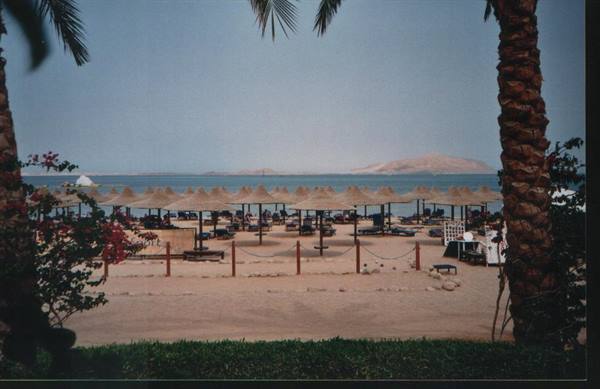 Straw umbrellas on the sandy beach, palm trees and turquoise sea ahead