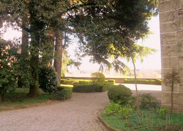 Gravel path with trimmed hedges beside a stone wall and tall trees