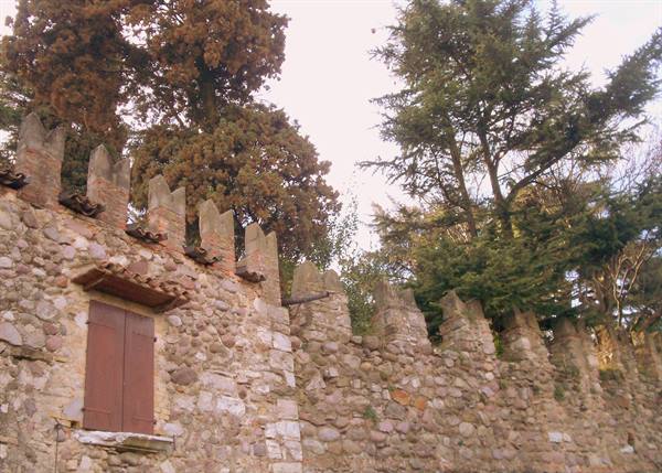 Stone castle battlements with wooden-shuttered window among tall cypress trees