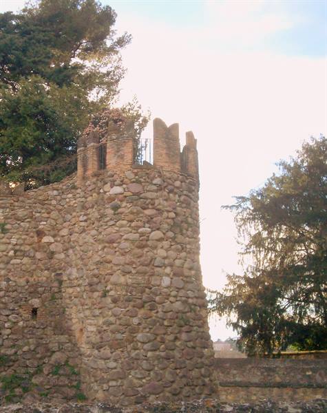 Stone crenellated tower surrounded by trees in late afternoon light