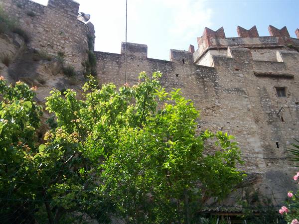Stone castle walls with battlements rise above lush green trees
