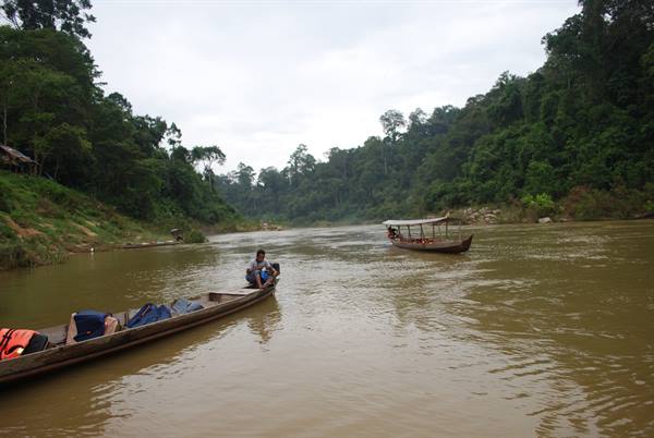 Taman Negara