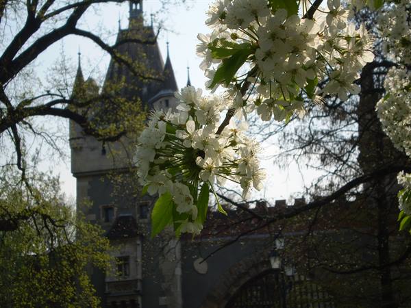budapest castle