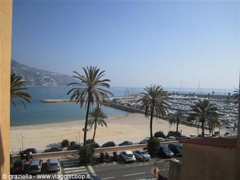 Palms and parked cars along the seafront above a beach and marina