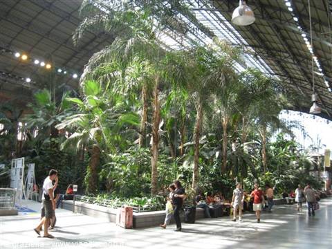 madrid Atocha station