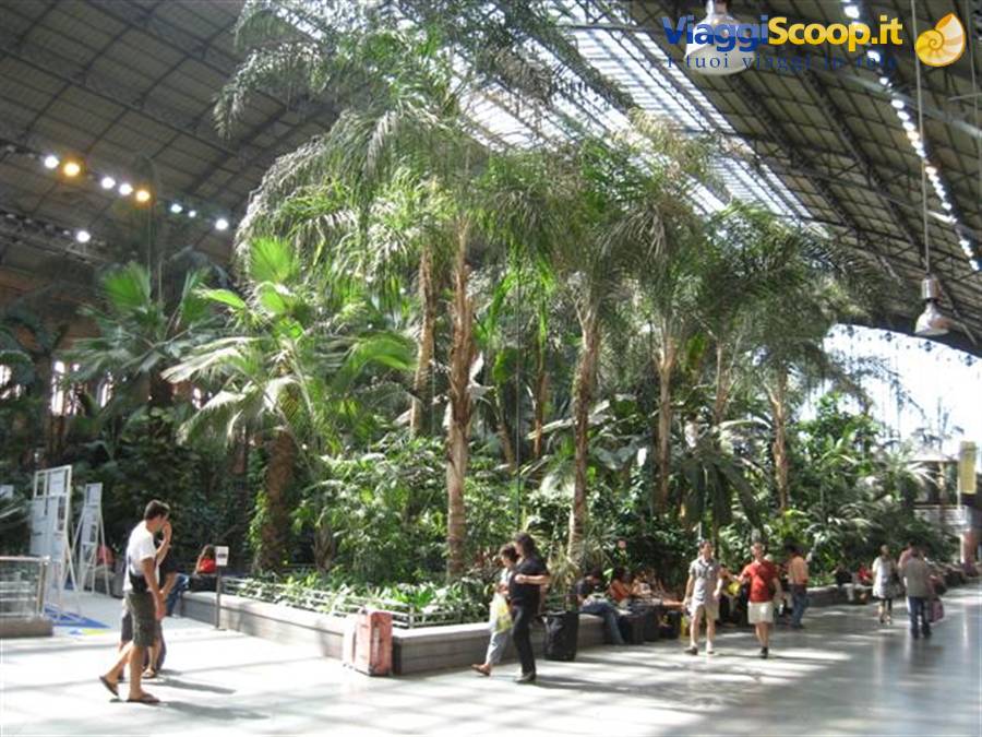 madrid Atocha station