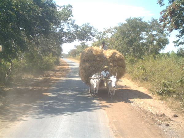 protruding load!