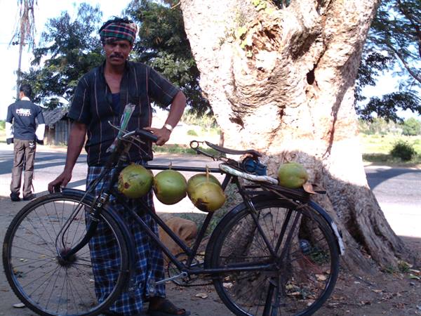 coconut seller