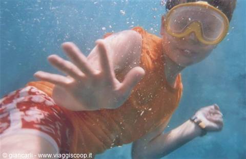 greetings to the fish too