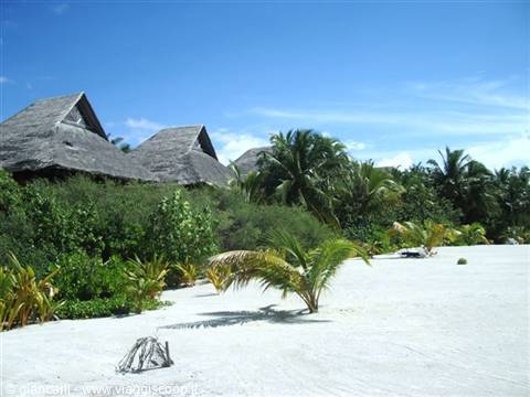 our bungalow on the beach
