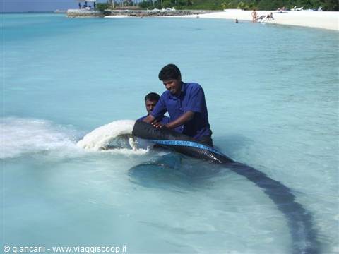 carrying sand to the shore
