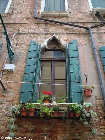 Venetian Windows