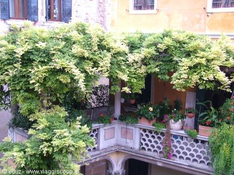 Residence Ca' Riccio - The Courtyard