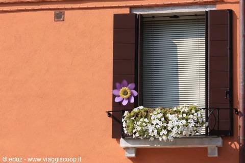 More windows