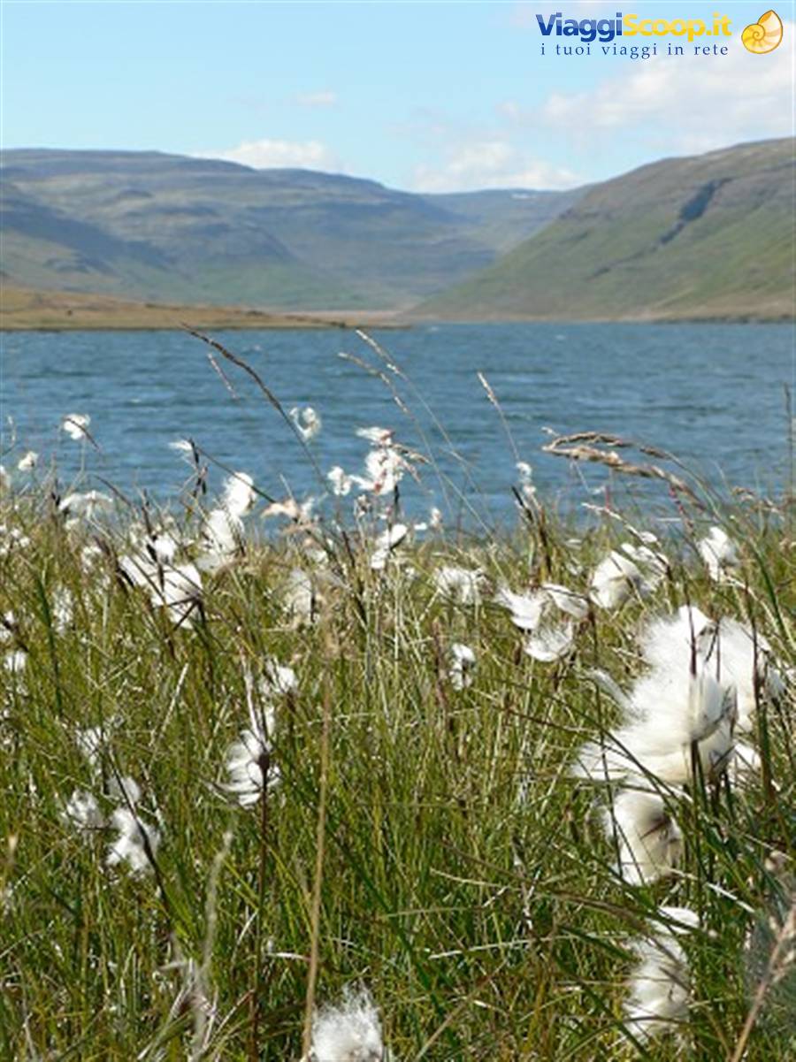 Westfjords