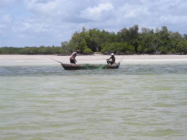Two fishermen on a wooden dugout canoe haul a green net near the beach