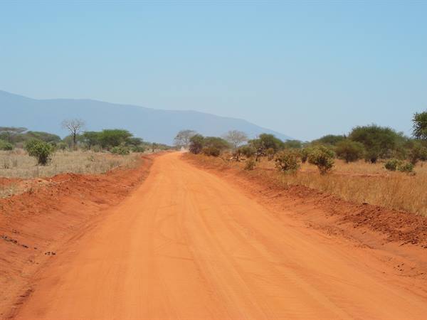 Red dirt road between dry bushes and acacia trees, blue mountains behind